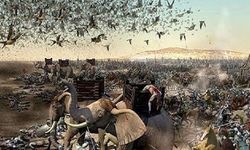 Fil vakası yaşandığı zaman Kureyş kabilesinin ve Mekke'nin lideri kimdir?