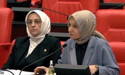 Ankara Milletvekili Leyla Şahin Usta duyurdu: Ankara’daki su sorunu için DSİ devrede!