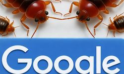 Google’ın ofisinde tahtakurusu alarmı: Çalışanlara evden çalışma talimatı verildi
