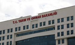 Tarım ve Orman Bakanlığı 15 müfettiş yardımcısı alacak! İşte başvuru detayları