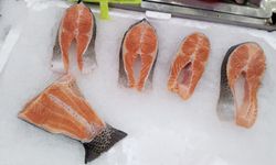 Havalar soğuyor bol bol balık tüketilmeli