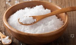 Ankara’da Tuz Kullanımı Eğitimleri Başlıyor!