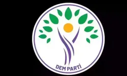 DEM Parti’den İmralı görüşmesine dair ilk açıklama: 'Tarihi bir mesele için ciddi çaba içindeyiz'