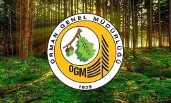 Orman Genel Müdürlüğü personel alımı ne zaman?  Lisans – ön lisans - ortaöğretim OGM başvuru şartları neler?