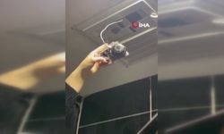 İstanbul’da skandal olay! Kadınlar tuvaletinde gizli kamera bulundu