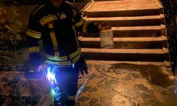 Cam korkuluktaki yılan paniğe neden oldu