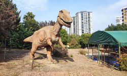 Milyonlar harcandı, kapısına kilit vuruldu: Adana'daki Dinozor Park harabeye döndü!