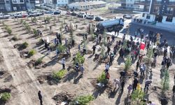 Ankara'da doğa seferberliği: Sincan'da 244 fidan toprakla buluştu