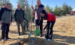 Ankara'da AKUT şehitleri için üç hatıra ormanına fidan dikildi!