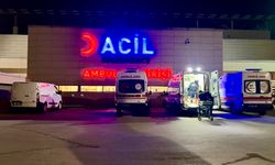 Ankara’da pitbull dehşeti! 2 çocuk ağır yaralandı