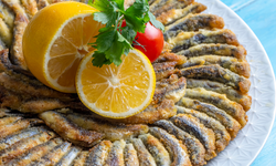 Haymana'da planlanan Balık Festivali uçak kazası nedeniyle ertelendi