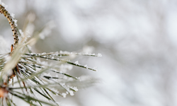 Hafta sonu Ankara'ya kış geliyor! Sıcaklıklar sıfırın altına düşecek