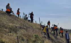 11 Kasım Milli Ağaçlandırma Günü’nde Ankara'da Örnek Duyarlılık!