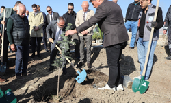 Esenboğa Külliyesi Onlarca Fidanla Yeşerdi