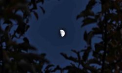 Ahlat’ta yarım ay şöleni! Ağaçların arasından beliren büyüleyici görüntü