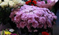 Ankara'da Öğretmenler Günü’nde çiçek furyası: Kasımpatı rekor kırdı