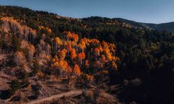 Ankara’nın Renk Cümbüşü Mest Etti!