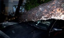 Antalya’da fırtına ve yağmur korkuttu! Ağaç devrildi, araçlar hasar gördü