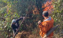 Artvin Hopa’da orman yangını: 5 hektar alan zarar gördü