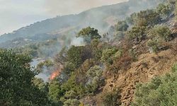 Aydın’da orman yangını! Ekipler harekete geçti