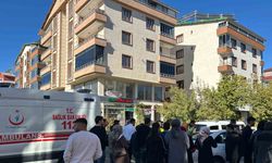 Bingöl’de otomobilin çarptığı 2 öğrenci yaralandı