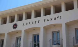 Bodrum’da yavru köpeklere tüfekle ateş eden şahıs tutuklandı