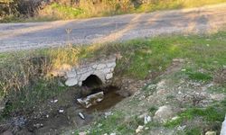 Çanakkale’de dehşet! Boş arazide yeni doğmuş bebek cesedi bulundu