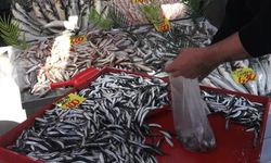 Çankırı’da 100 liraya satılan hamsi yüzleri güldürdü