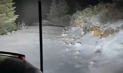 Çnkırı Ilgaz'da kar yağışı başladı: Yüksek kesimler beyaza büründü