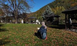 Sonbahar renkleriyle büyülüyor: Samandere Şelalesi doğaseverlerin gözdesi oldu