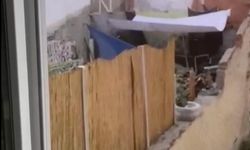 Eskişehir’de köpeğe eziyet görüntüleri infial yarattı! Polis şüpheliyi yakaladı