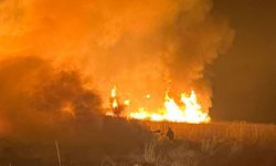 Hakkari’de kuş cenneti Nehil Sazlığı alevler içinde!