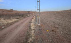 Kırıkkale’de atlı gezinti feci bitti: Şahıs demir direğe çarptı, hayatını kaybetti