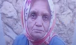Mantar Toplarken Kaybolan Yaşlı Kadın Ormanda Ölü Bulundu