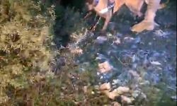 Muğla’da Dev Uyuşturucu Operasyonu: 4 Tutuklama Milyonluk Ele Geçirilen Maddeler