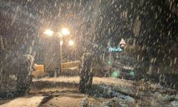 Ordu–Sivas yolu yoğun kar ve tipi nedeniyle ulaşıma kapandı