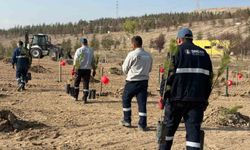 Sincan’da şiddete karşı anlamlı etkinlik! Vatandaşlar akın etti