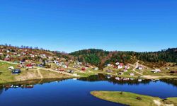 Sonbaharın en çarpıcı adresi! Sultanpınar Yaylası renk şöleni