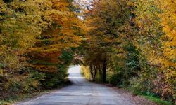 Ankara’da sonbaharda gezilecek yerler! Şehrin en güzel rotaları