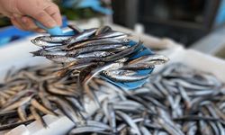 Tezgahlarda büyük hareketlilik! Hem ucuz hem bol! İşte fiyat listesi