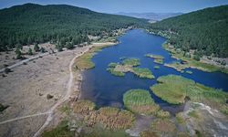 Şehirden Kaçmanın En Kolay Yolu: Çamkoru Tabiat Parkı Muhteşem Manzaralarıyla Dikkat Çekiyor