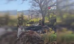 Bahçe temizliği facia ile sonuçlandı! Otları yakan yaşlı kadın feci şekilde can verdi!