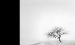 CSO Ada Ankara’da Arvo Pärt’e özel konser: Devlet Çoksesli Korosu ve Orkestra Akademik Başkent sahne alacak