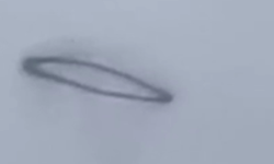 Ankara semalarında sığırcıkların akşam dansı: Gökyüzü şovu büyüledi