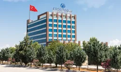 Erdemoğlu Holding'in sahibi kim, Erdemoğlu Holding şirketleri