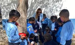 Köy Okulundan Türkiye’ye Örnek Proje: Öğrenciler Yeşil Vatan’a Katkı Sağlıyor