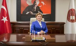 HSK üyesi Havvanur Yurtsver aslen nereli? Havvanur Yurtsever evli mi?