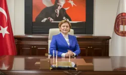 HSK üyesi Havvanur Yurtsever kimdir, nereli, kaç yaşında? Eşi kimdir?