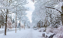 Beklenen haber geldi: İstanbul'da kar yaşığı için tarih verildi!
