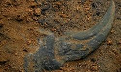 Kum feneri 29 Kasım’da Kült Sahne’de izleyiciyle buluşuyor